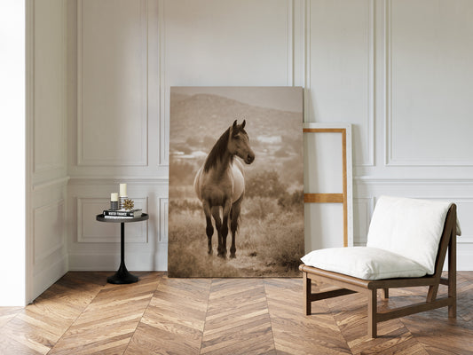 In the Embrace of Distant Hills