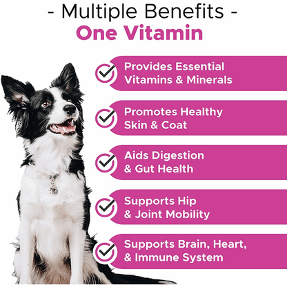 Comprehensive 10-in-1 Dog Multivitamin - Essential Supplements for All Breeds
