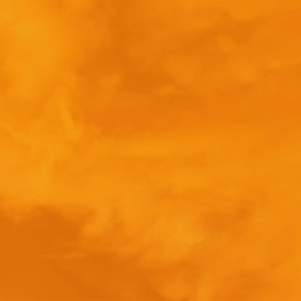 Bragg Organic Apple Cider Vinegar With the Mother– Raw, Unfiltered All Natural Ingredients (64 Fl Oz (Pack of 1))