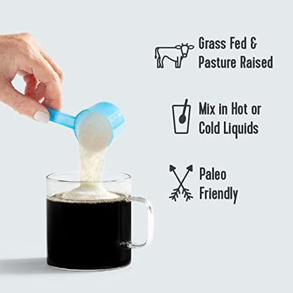 Vital Proteins Collagen Peptides Powder