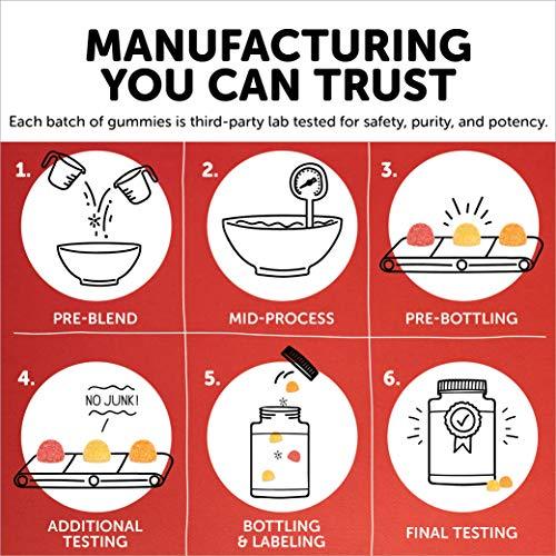 SmartyPants Kids Formula Daily Gummy Multivitamin