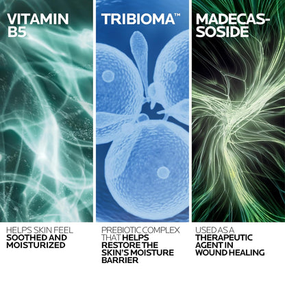 description_selected2