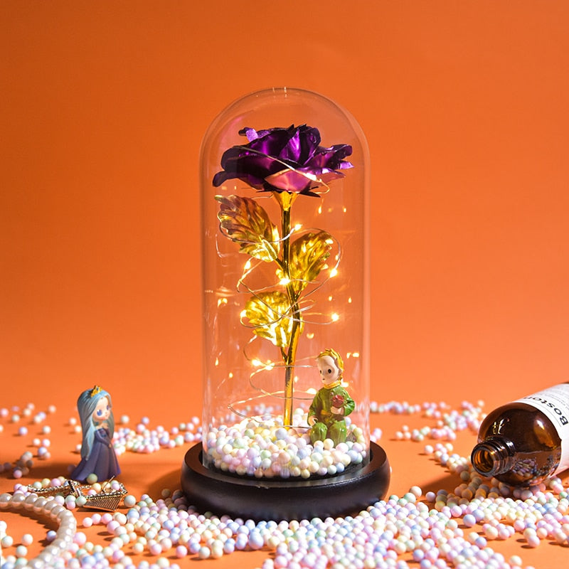 Mothers Day Gifts Beauty and The Beast Preserved Roses In Glass Galaxy Rose LED Light Artificial Flower Gift for Mom Women Girls Doll-3 China