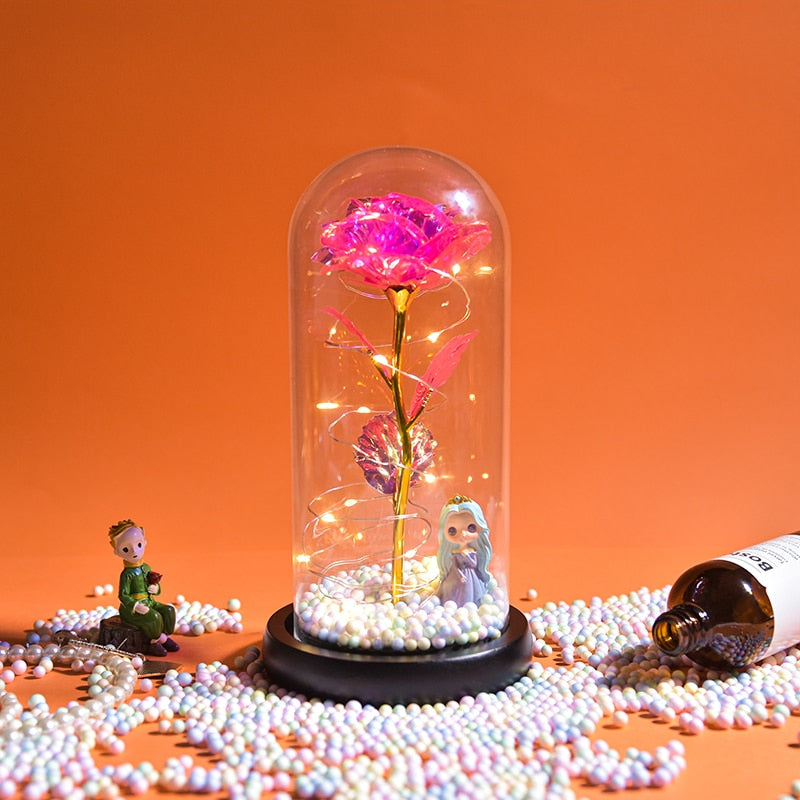 Mothers Day Gifts Beauty and The Beast Preserved Roses In Glass Galaxy Rose LED Light Artificial Flower Gift for Mom Women Girls Doll-4 China