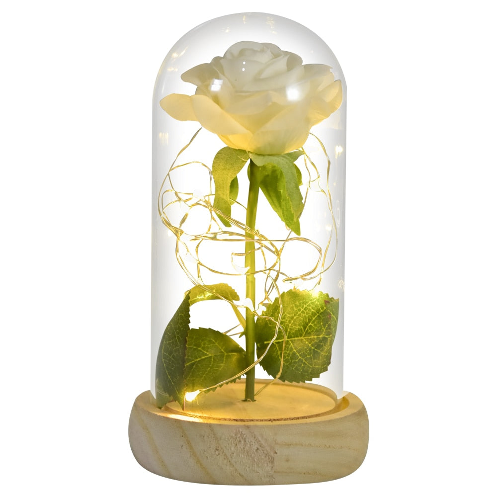 Mothers Day Gifts Beauty and The Beast Preserved Roses In Glass Galaxy Rose LED Light Artificial Flower Gift for Mom Women Girls Silk Rose-White
