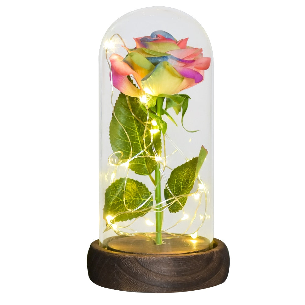 Mothers Day Gifts Beauty and The Beast Preserved Roses In Glass Galaxy Rose LED Light Artificial Flower Gift for Mom Women Girls Silk Rose-Rainbow China