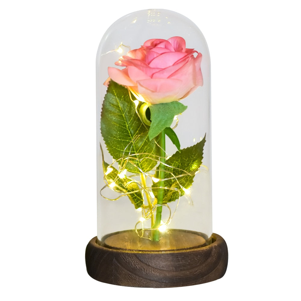 Mothers Day Gifts Beauty and The Beast Preserved Roses In Glass Galaxy Rose LED Light Artificial Flower Gift for Mom Women Girls Silk Rose-Pink China