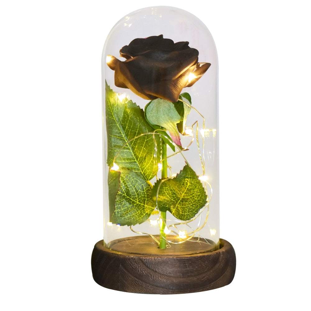 Mothers Day Gifts Beauty and The Beast Preserved Roses In Glass Galaxy Rose LED Light Artificial Flower Gift for Mom Women Girls Silk Rose-Black China