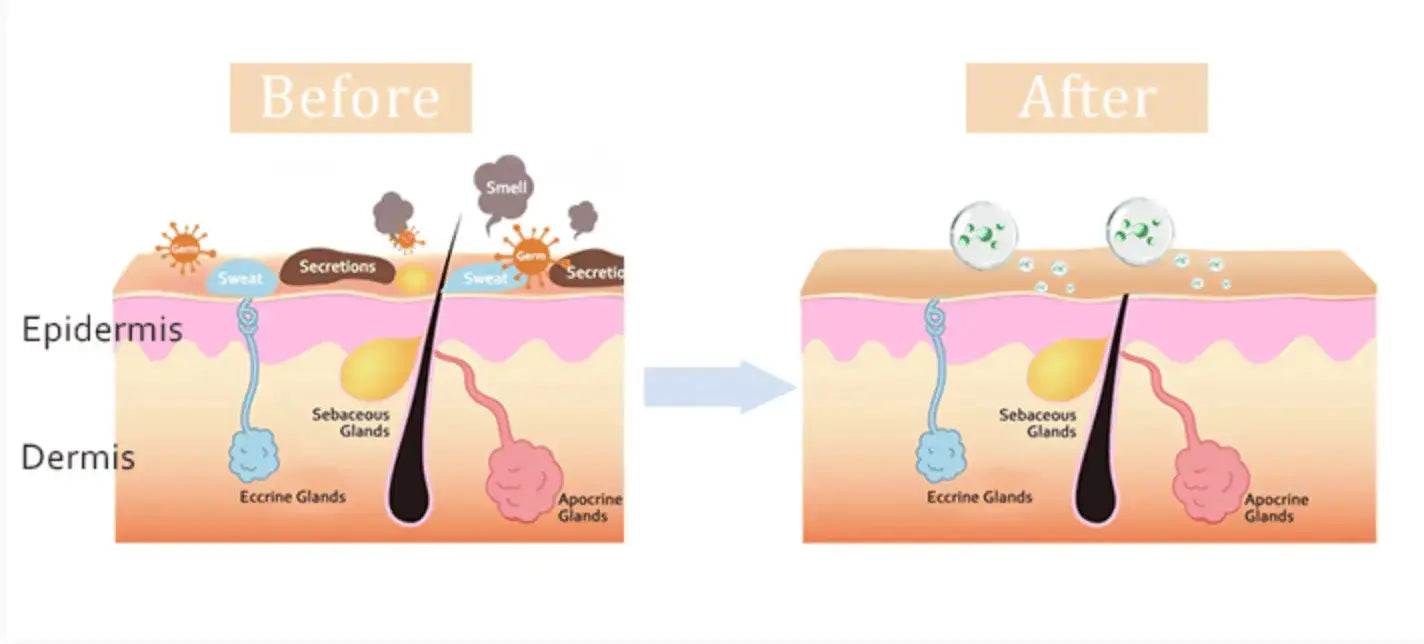 Natural Deodorant - Skiers - 3.35 OZ - NEW FORMULA CLAYER
