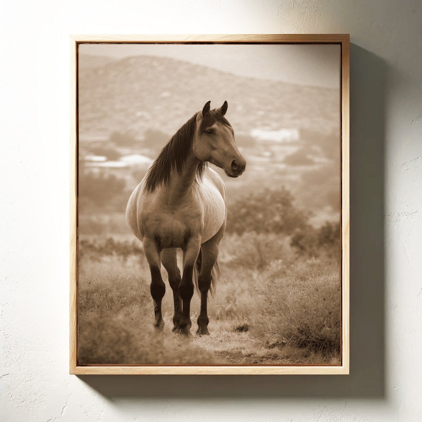 In the Embrace of Distant Hills