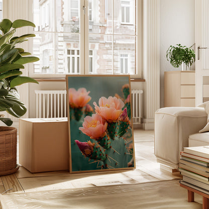 Blossoms In The Desert's Embrace