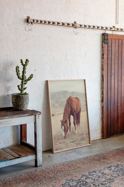 The Last Bite of Sunlit Grass