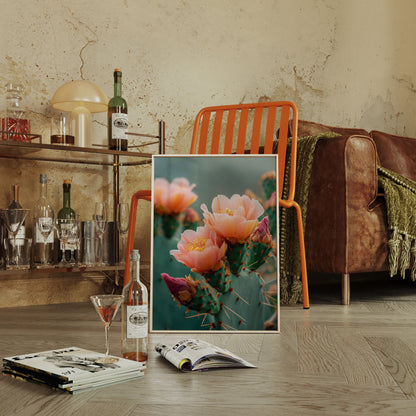 Blossoms In The Desert's Embrace