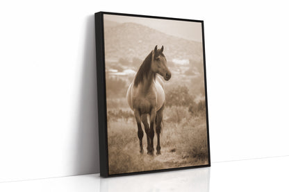 In the Embrace of Distant Hills