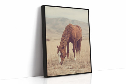 The Last Bite of Sunlit Grass