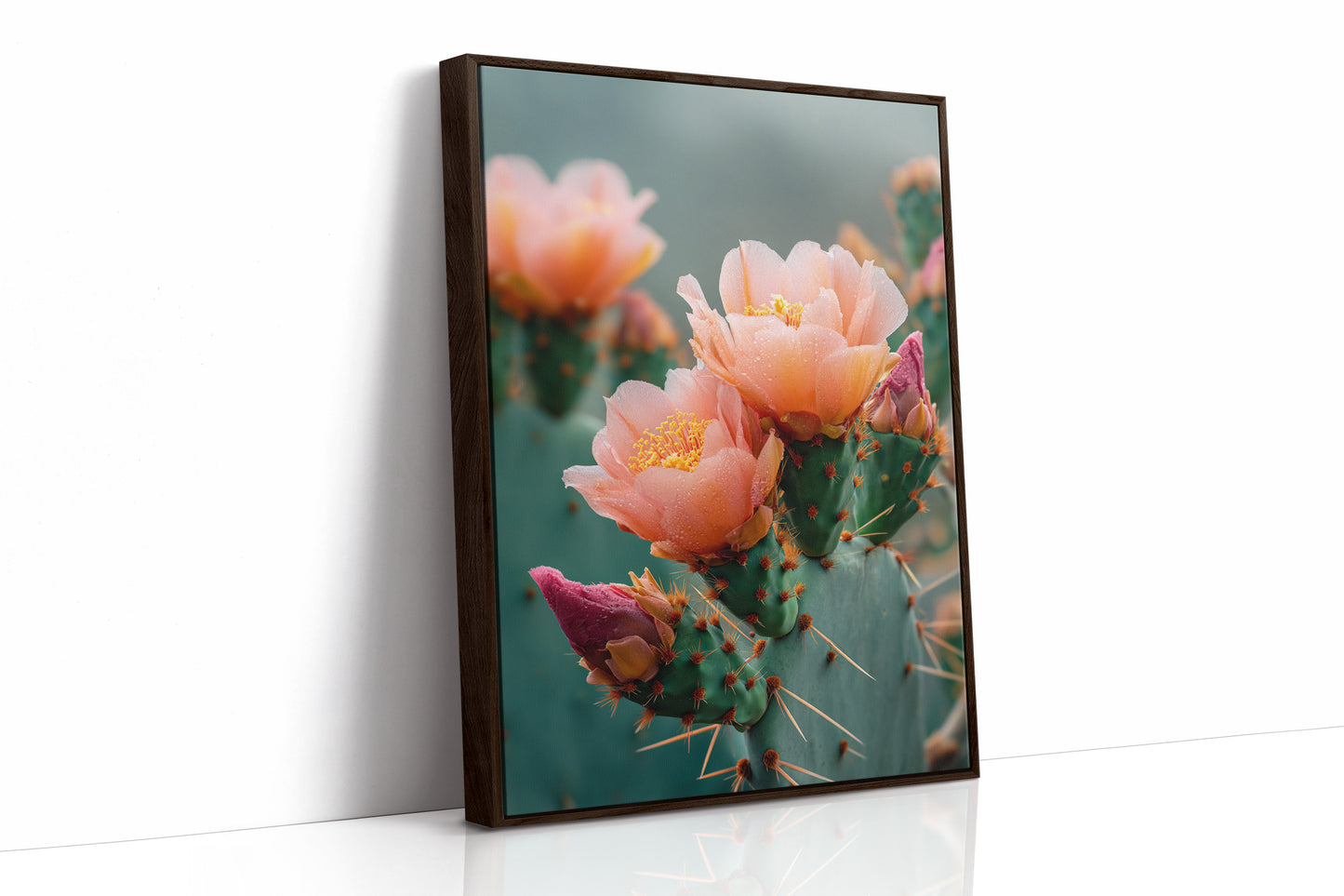 Blossoms In The Desert's Embrace