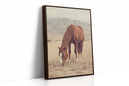 The Last Bite of Sunlit Grass