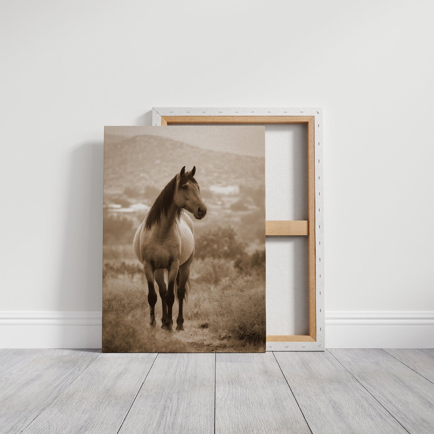 In the Embrace of Distant Hills