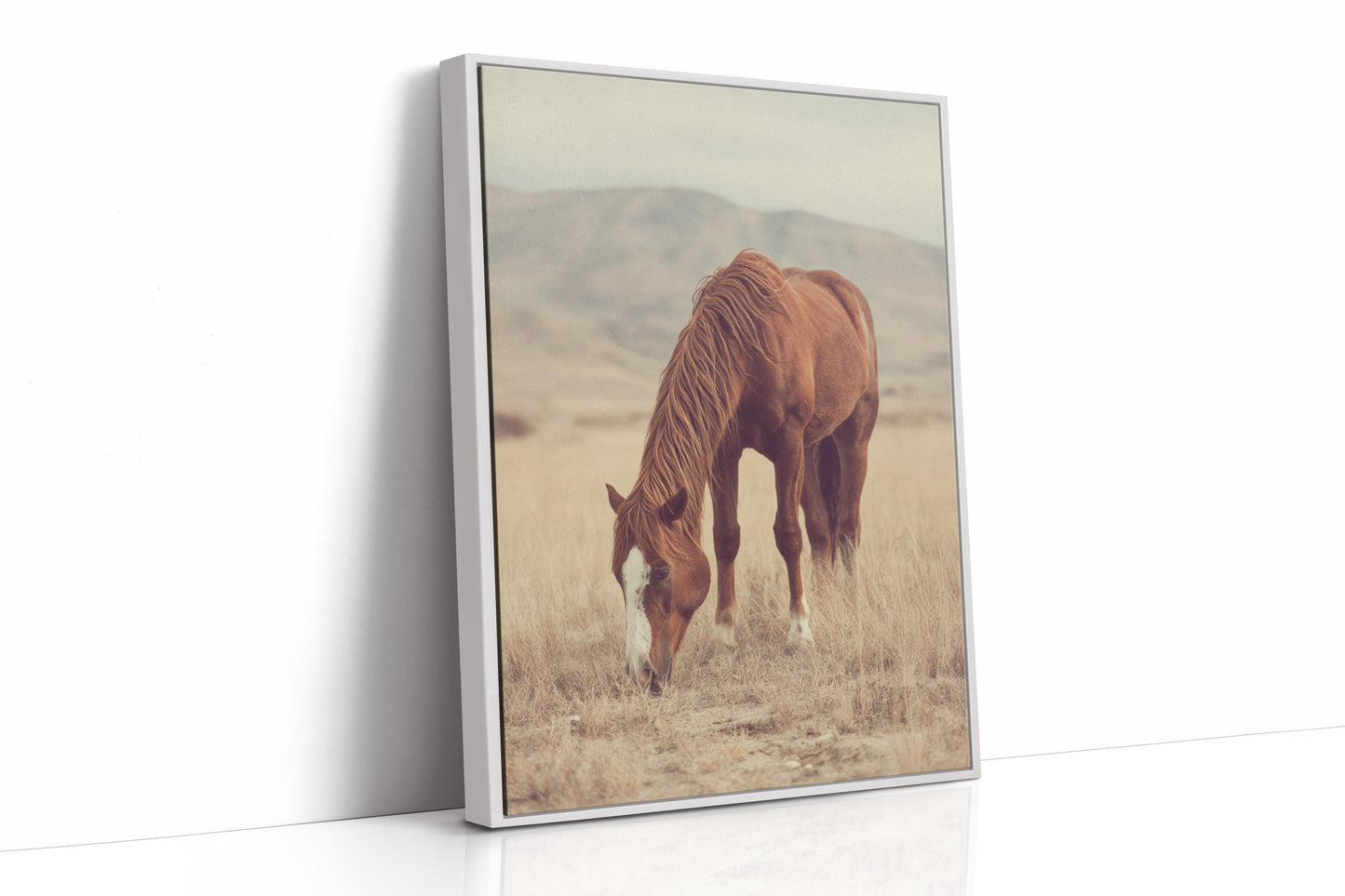 The Last Bite of Sunlit Grass